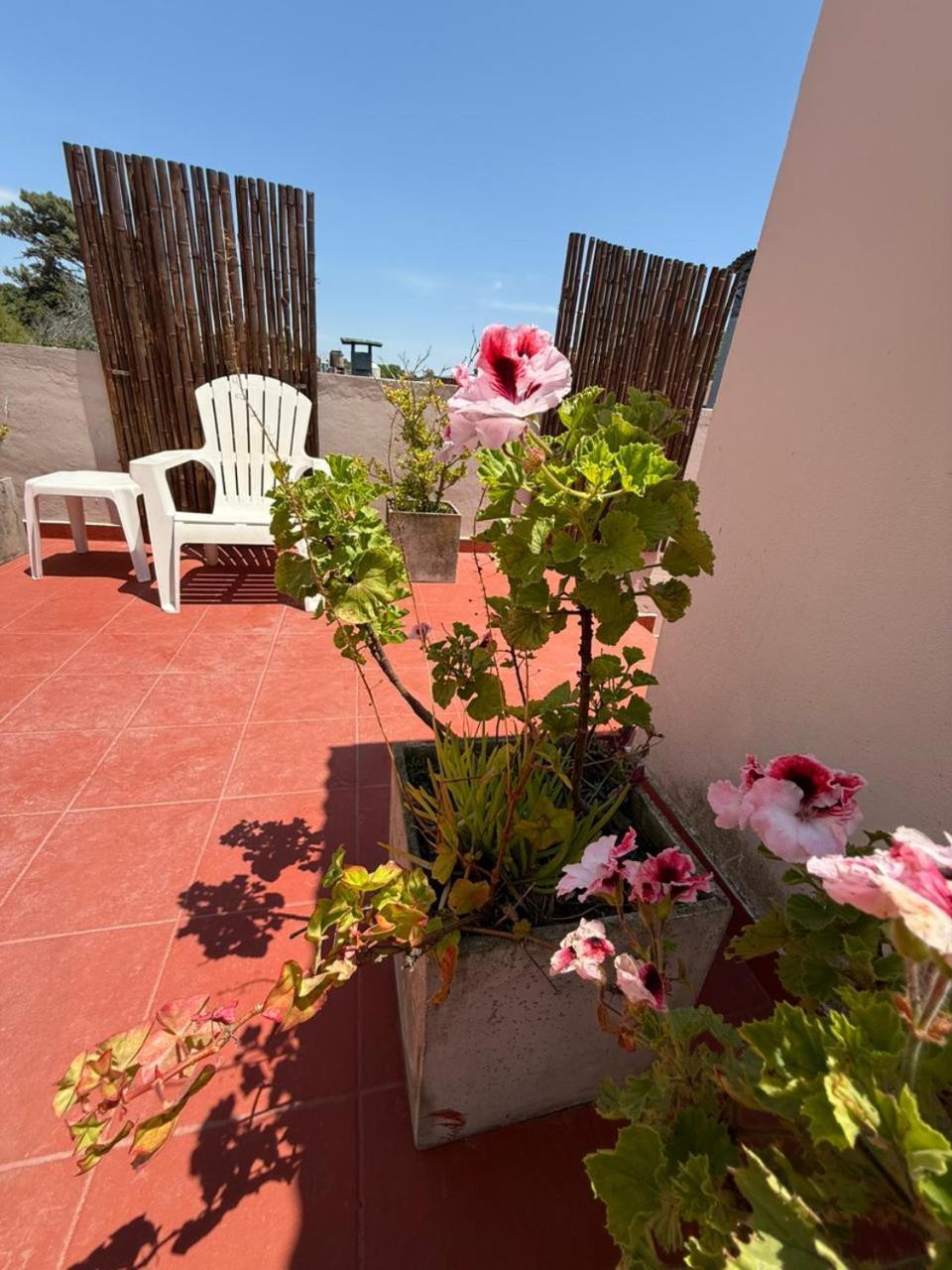 Hotel Boiano Villa Gesell Extérieur photo